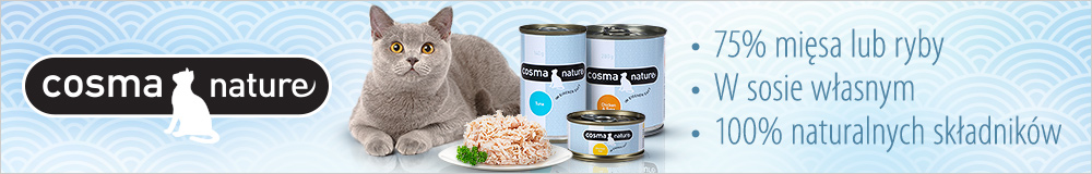 Cosma_Headergrafik