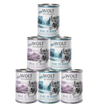 - Sparpaket Little Wolf of Wilderness Junior - gemischtes Paket Sparpaket Little Wolf of Wilderness Junior - gemischtes Paket