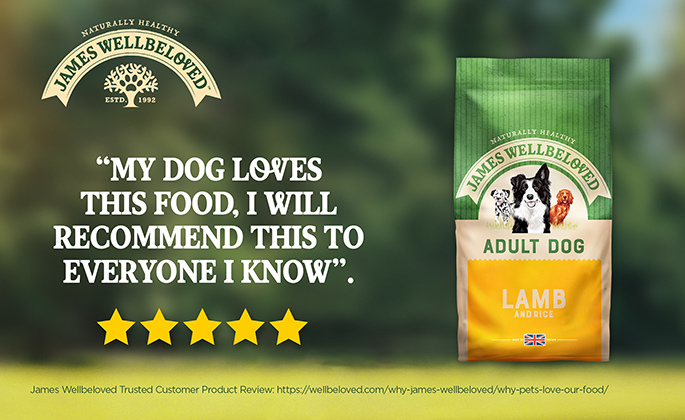 James Wellbeloved Adult - Lamb & Rice Dry Dog Food | zooplus
