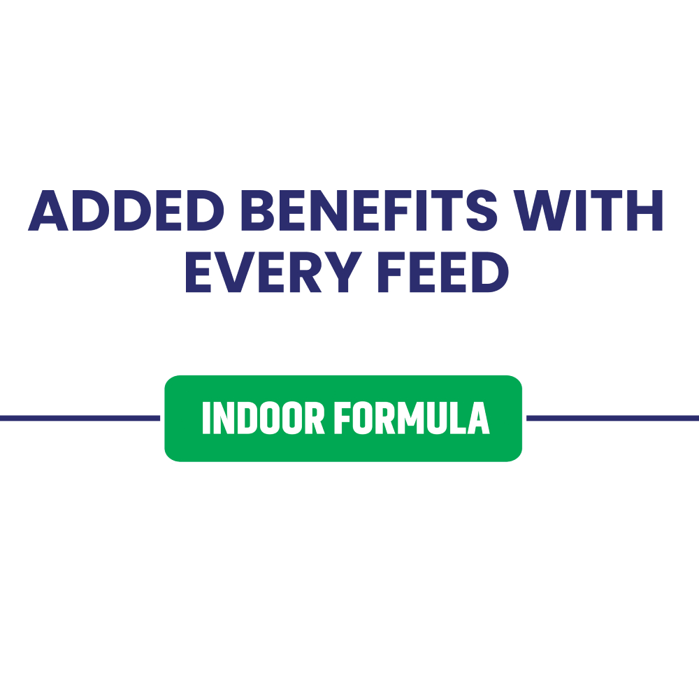 PURINA ONE Indoor Formula is specifically designed for cats mainly living indoors.