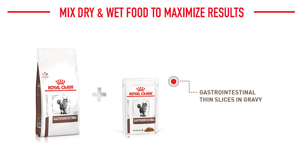 Royal canin gastrointestinal treats hotsell for cats