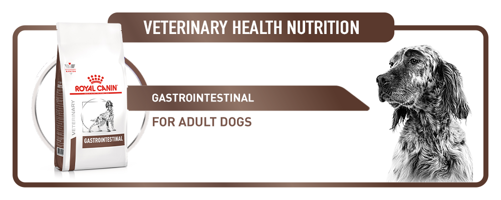 Royal Canin Veterinary Canine Gastro Intestinal