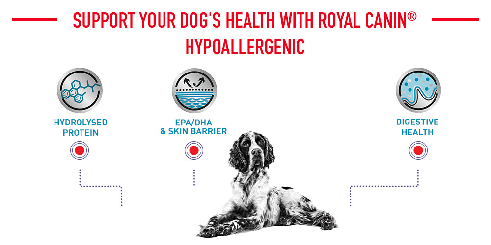 Royal canin hotsell hypoallergenic hydrolyzed protein