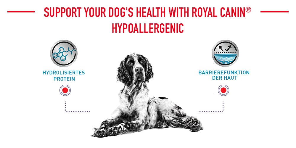 Soutenez la santé de votre chien avec Royal Canin Hypoallergenic