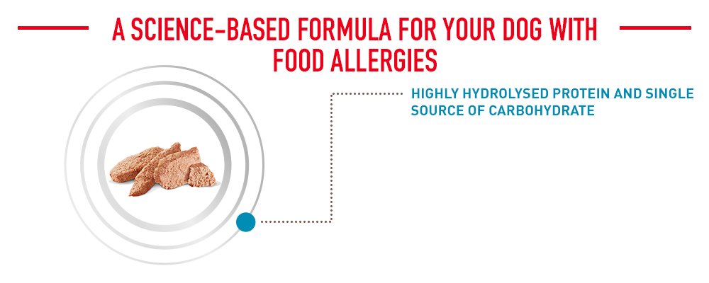 Une formule scientifique pour votre chien souffrant d'allergies alimentaires