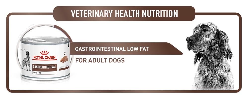 Royal Canin Veterinary Canine Gastro Intestinal Faible en Gras