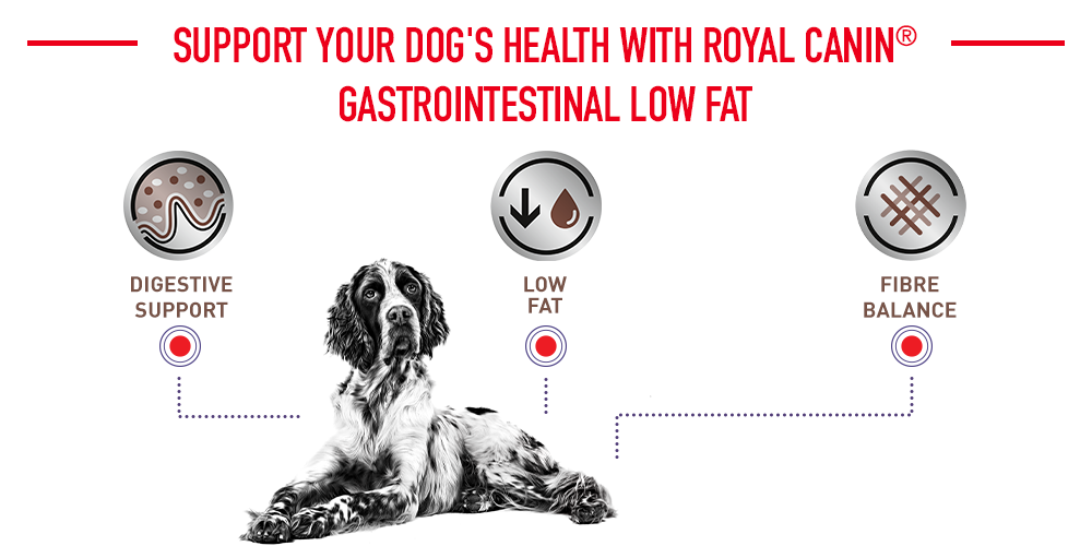 Royal Canin Veterinary Canine Gastro Intestinal Fettarm