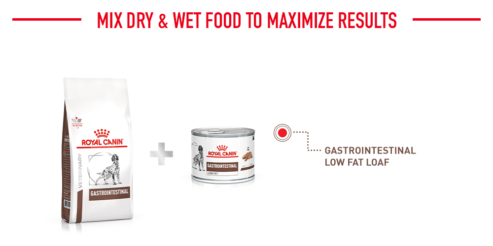 Royal canin gastrointestinal outlet low fat wet food