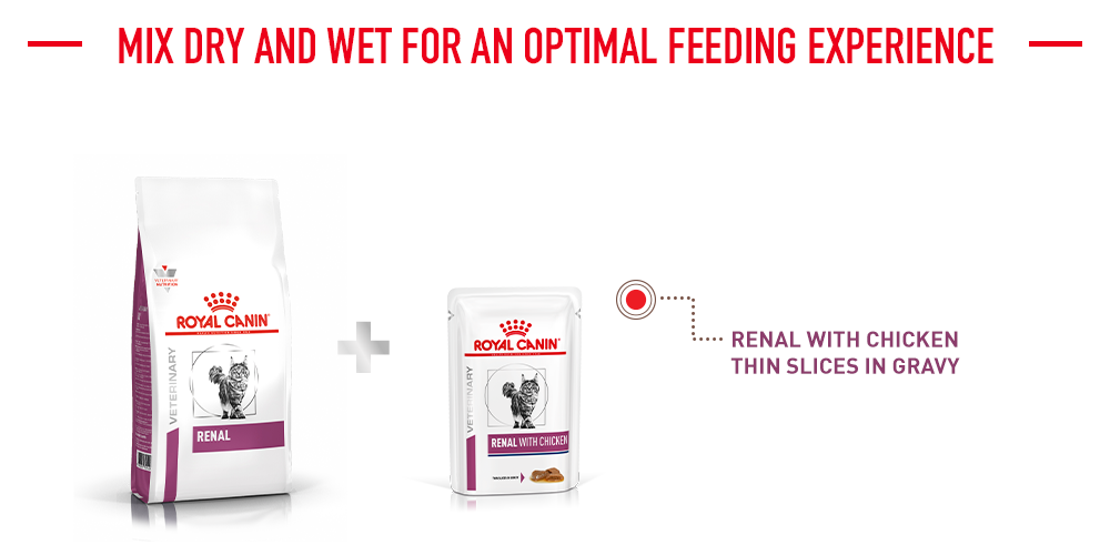 mix dry and wet for an optimal feeding experience