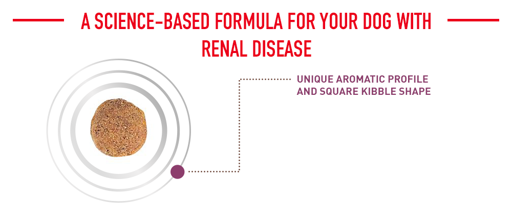 a science-based formula for your dog with renal disease