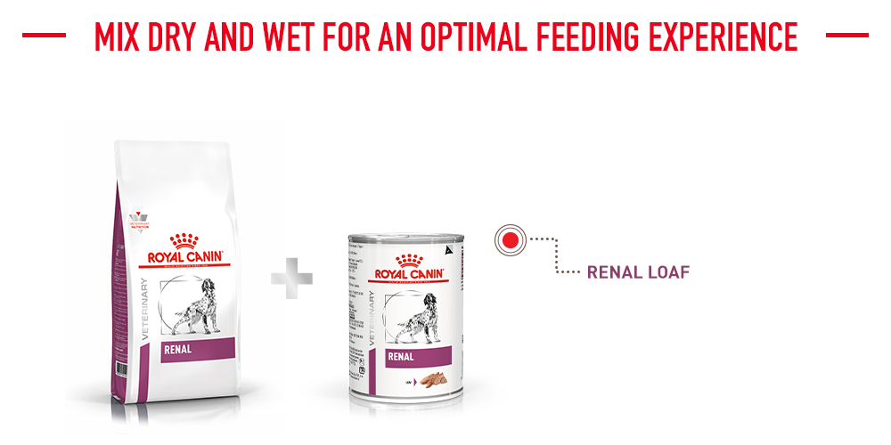 mix dry and wet for an optimal feeding experience