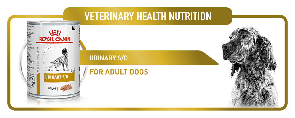 veterinary health nutrition