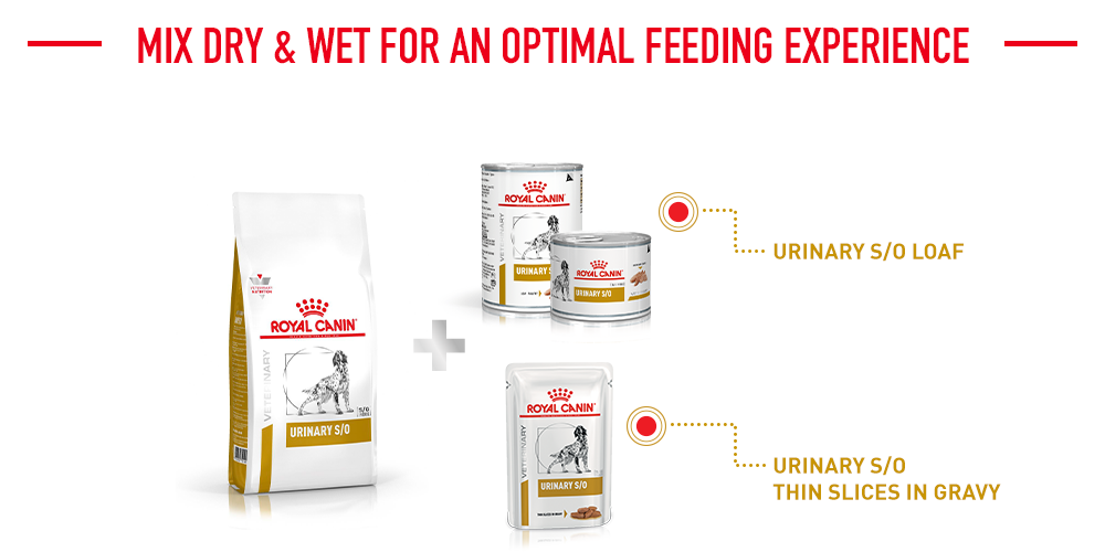 mix dry & wet for an optimal feeding experience