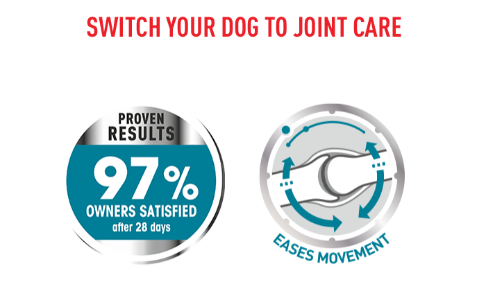 Royal canin maxi 2024 joint and coat care