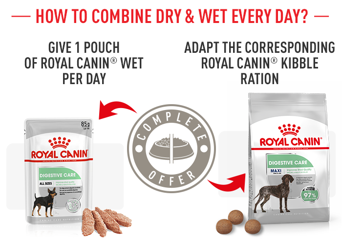 Royal Canin Maxi Digestive Care 