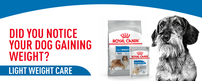 Royal canin outlet sheltie