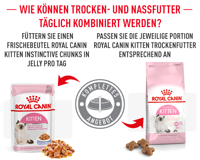 Mischfütterung Royal Canin Kitten Nassfutter