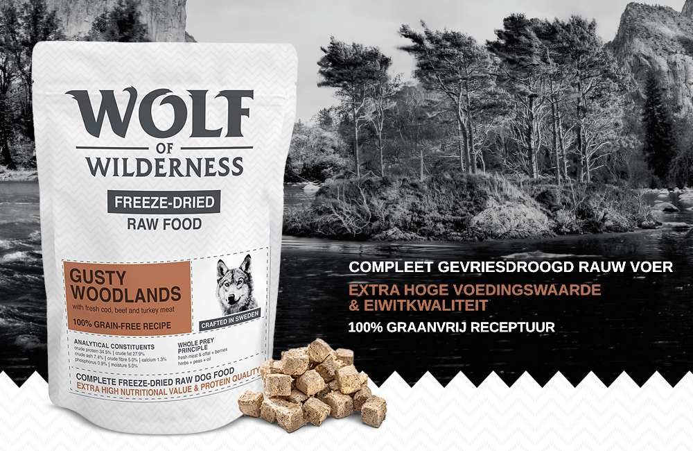 Wolf of Wilderness - Gusty Woodlands