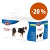 Trixie Pannolini a fascia per cani maschi - Tg. S–M: 30–46 cm, 12 pz