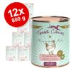 Terra Canis Senza cereali 12 x 800 g - Tacchino con Sedano, Zucca e Crescione