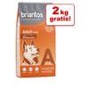 12 kg + 2 kg gratis! 14 kg Briantos - Adult Light