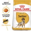 Royal Canin Setter Adult - 12 kg