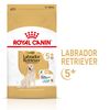 Royal Canin Labrador Retriever Adult 5+ - 12 kg