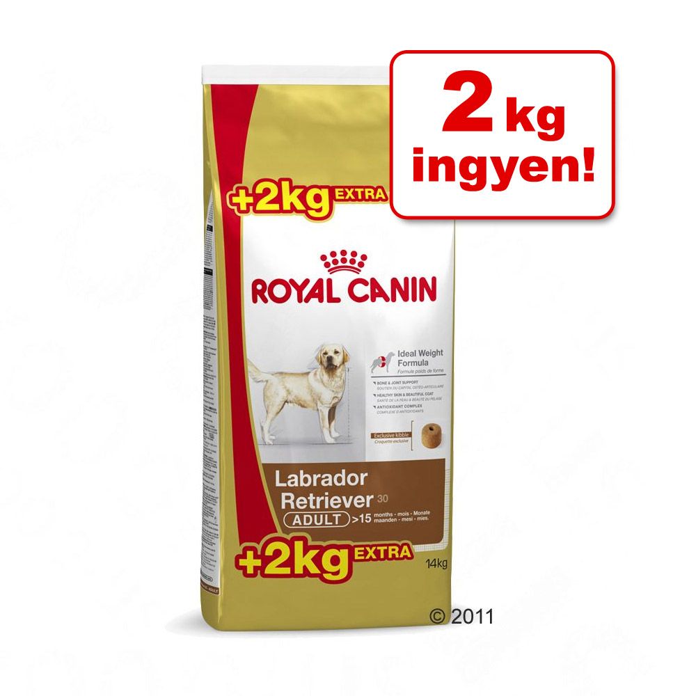 Royal Canin labrador retriever 12kg »–› ÁrGép