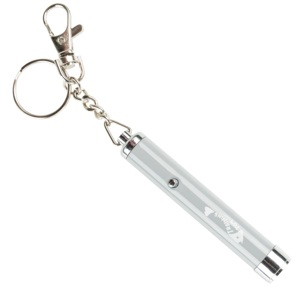 Trixie LED Pointer Catch the Light.- 2 Stück (5 cm)