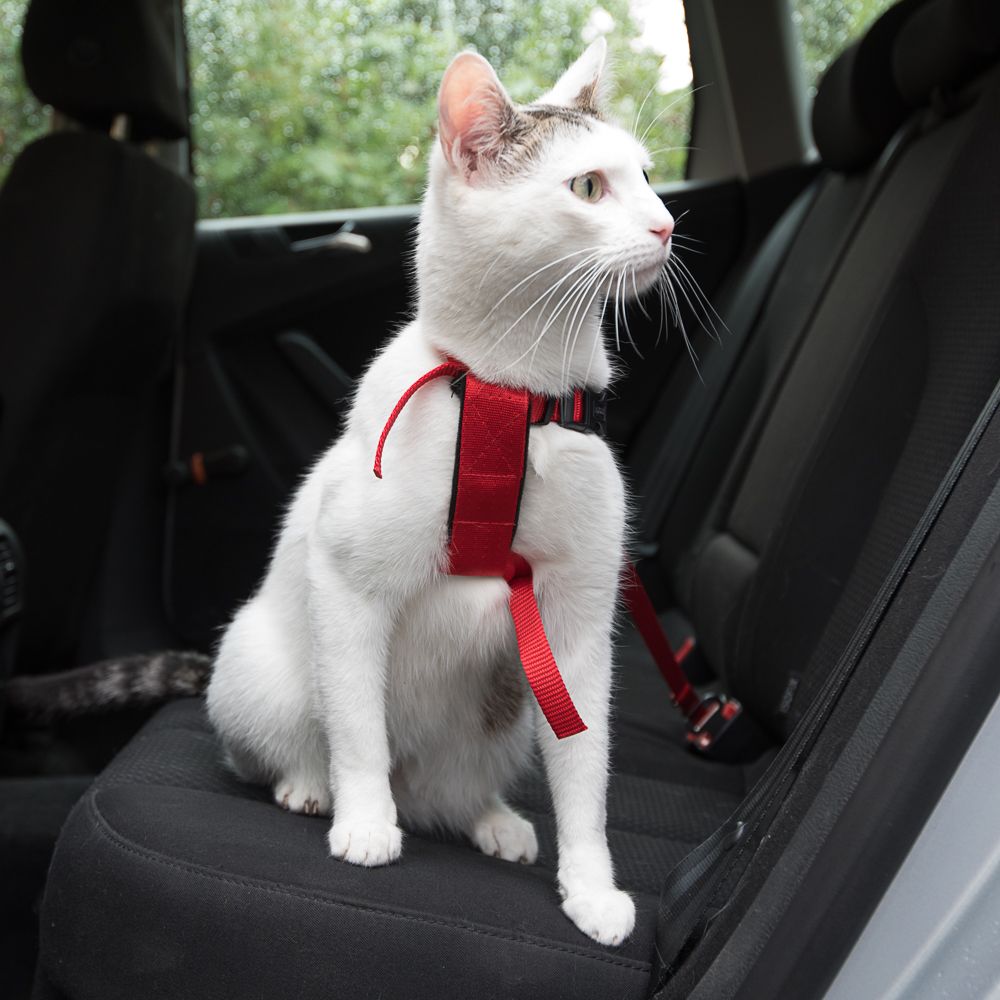 Trixie Cat Car Harness - Red