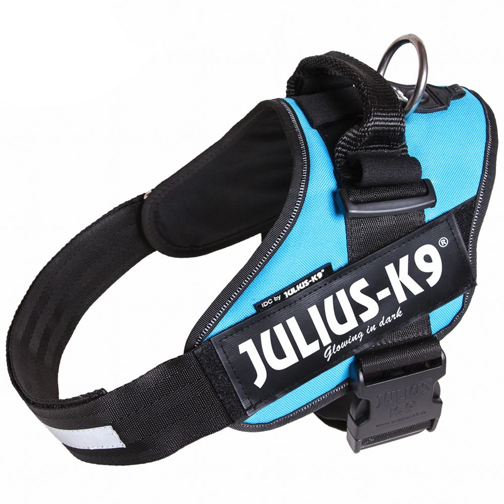 Image of Arnés Julius-K9 IDC® Power aguamarina para perros - Talla 0 05999053645533