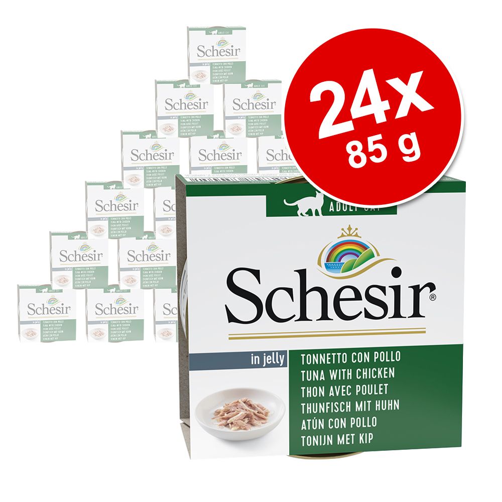 Ekonomipack: Schesir i gelé 24 x 85 g Kycklingfilé & skinka