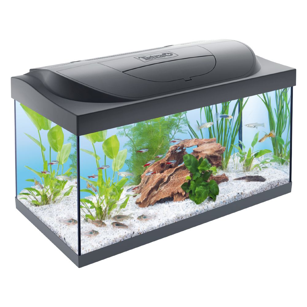 Image of Set completo acuario Tetra Starter Line LED - 54 l 04004218256989