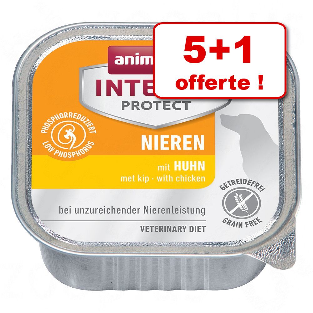 6x150g poulet Insuffisance rénale Animonda Integra - Nourriture pour chien
