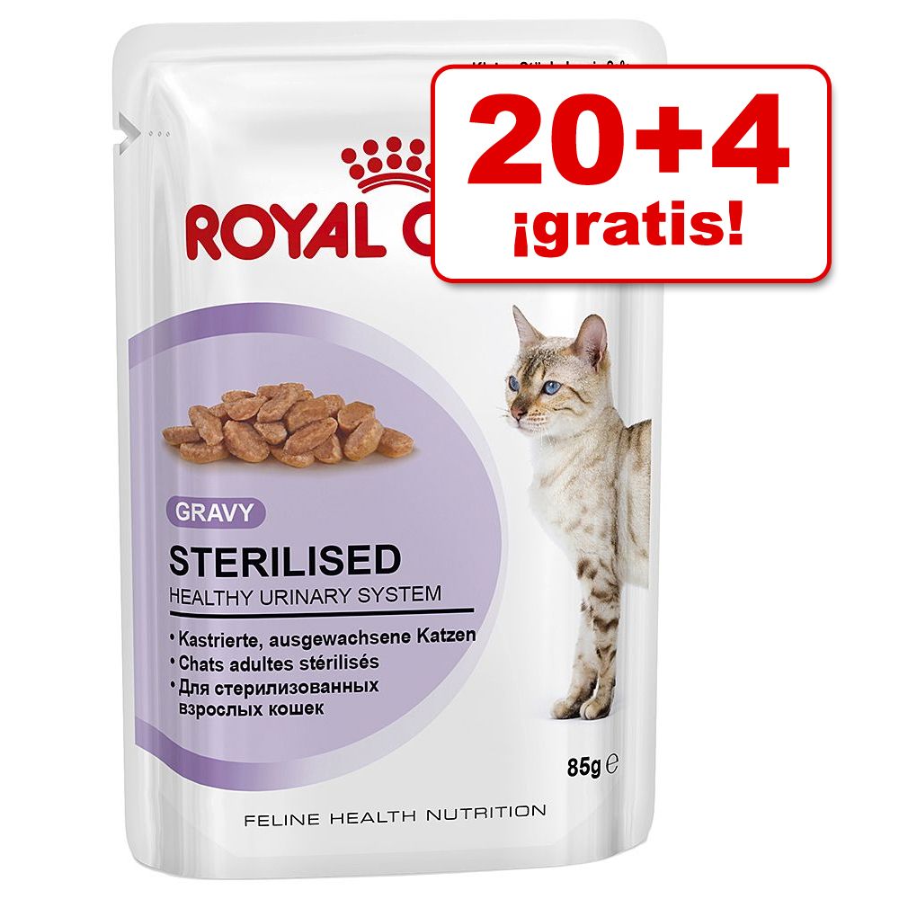 Image of Royal Canin 24 x 85 g en oferta: 20 + 4 sobres ¡gratis! - Instinctive en gelatina 09003579309513