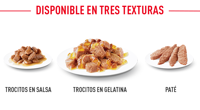 Royal Canin Light Weight Care en gelatina texturas