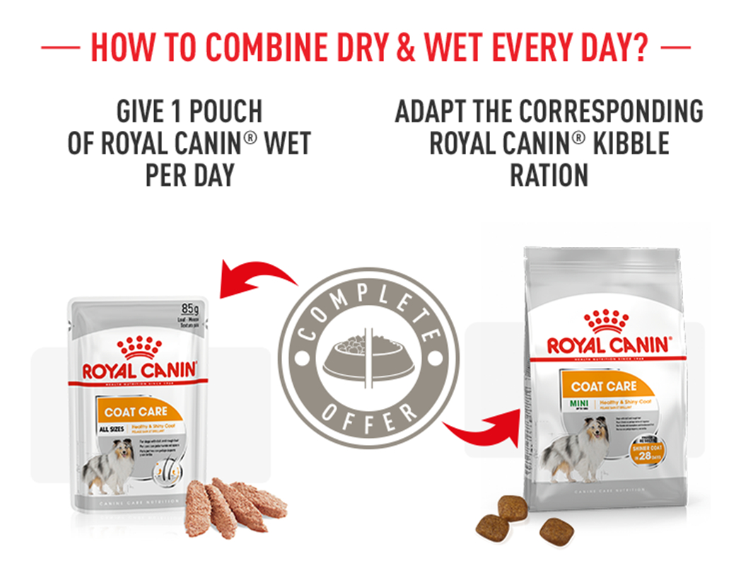 Royal Canin CCN Mini Coat Care Ξηρά Τροφή Σκύλων από την zooplus