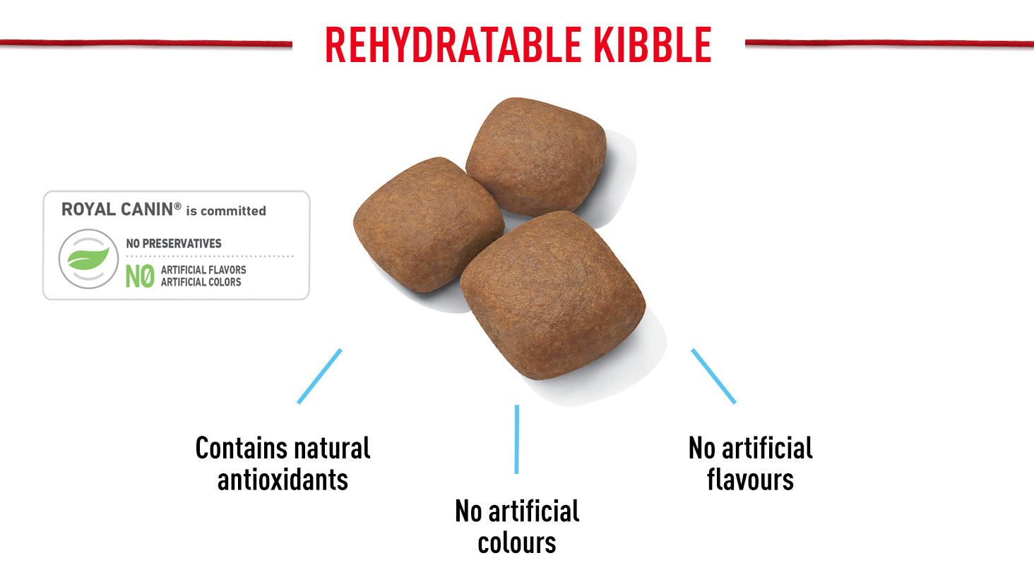 Rehydratable kibble