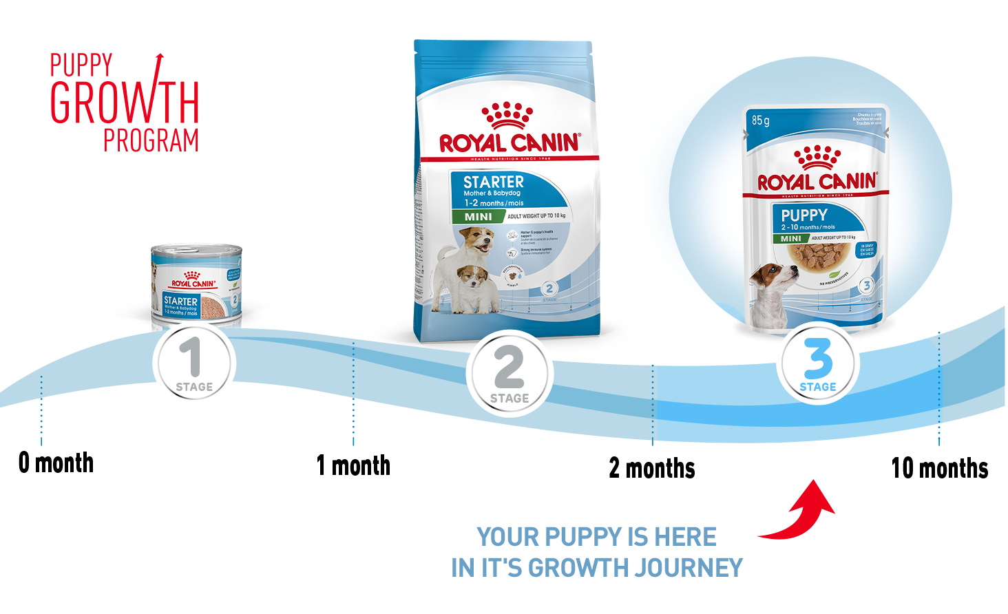 Royal canin outlet recovery zooplus