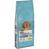 Tonus Dog Chow Puppy Agnello & Riso - 14 kg