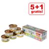5 + 1 gratis! 6 x Pacco misto Schesir - 6 x 70 g Brodo di cottura: Tonnetto, Tonnetto e Orata, Filetti di Pollo