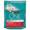 Purina ONE SterilCat con Manzo - 3 kg