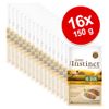 Nature's Variety True Instinct No Grain Mini Adult Paté 16 x 150 g - Tacchino e verdure