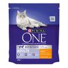 Purina ONE Adult Pollo - Set %: 2 x 3 Kg
