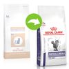 Royal Canin Veterinary Mature Consult Balance Crocchette per gatti - 3,5 kg