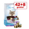 42 + 8 gratis! 50 x 15 g My Star Milky Cups Pacco misto - 50 x 15 g