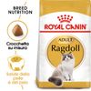 Royal Canin Ragdoll Adult Set %: 2 x 10 kg
