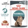 Royal Canin Hairball Care in Salsa - 48 x 85 g