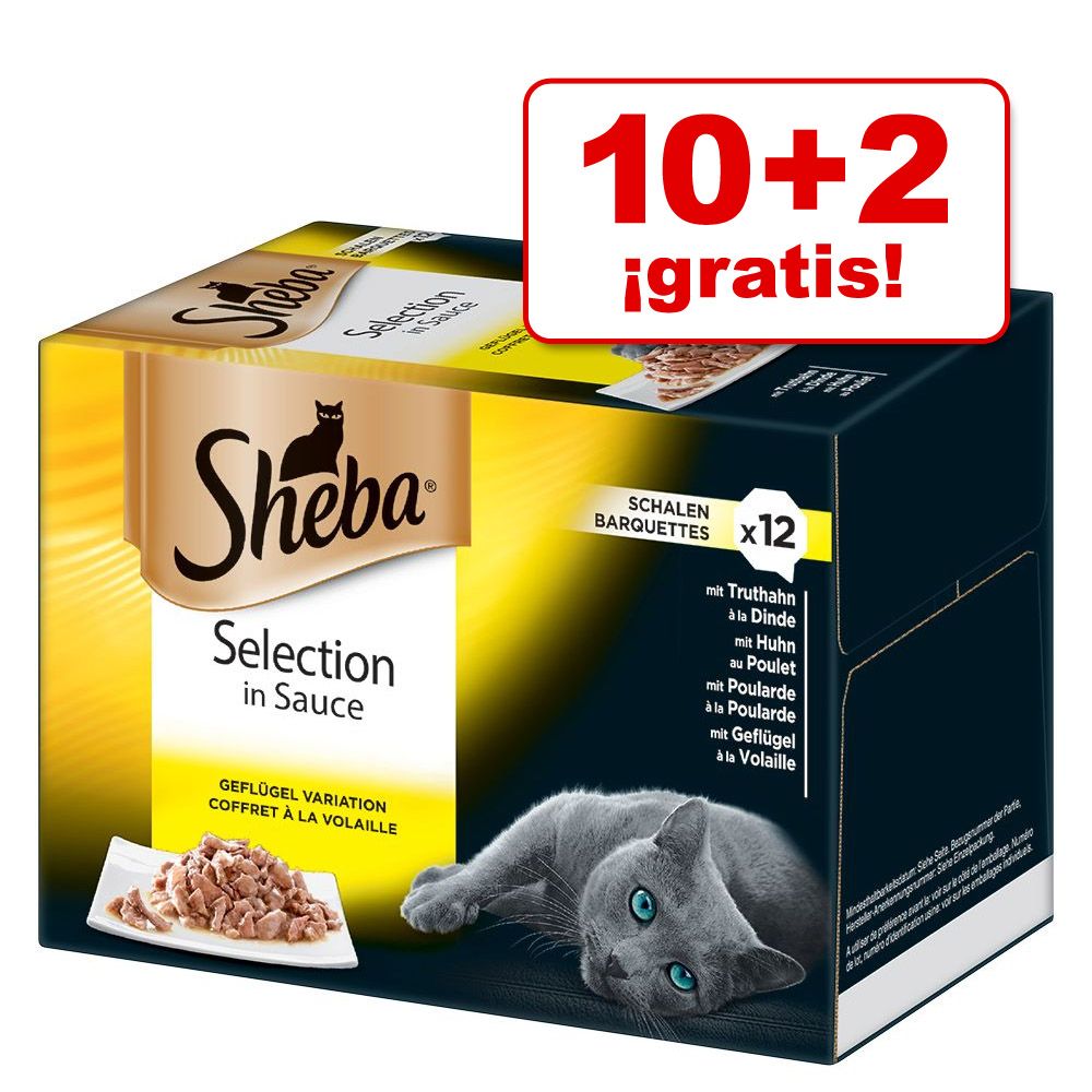 Image of Sheba 12 x 85 g en tarrinas Multireceta ¡10 + 2 gratis! - Classics en paté 03065890138254
