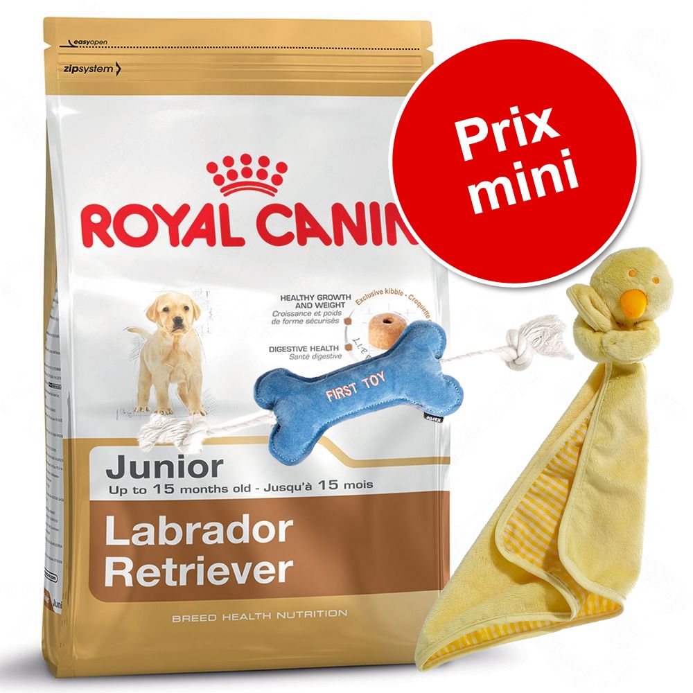 Coupons reduction et lots combien